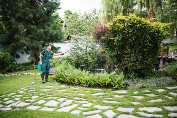 Best Pest Prevention Services  in Eulyptus Hills, CA