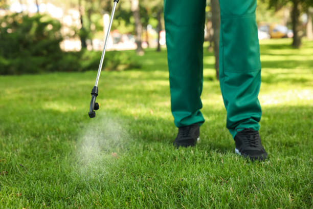 Best Best Pest Control Companies  in Eulyptus Hills, CA
