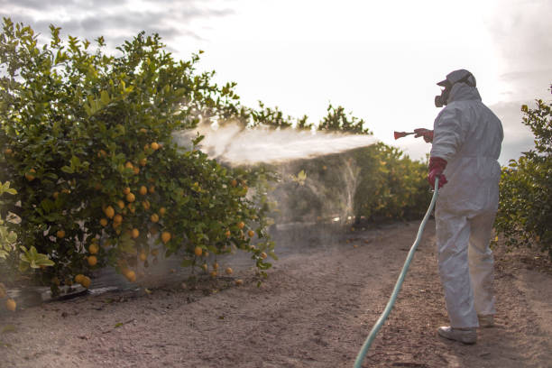 Best Wildlife Control Services  in Eulyptus Hills, CA