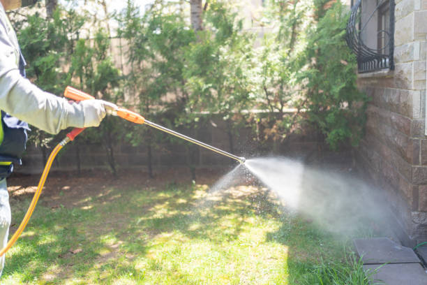 Best Pest Removal Services  in Eulyptus Hills, CA