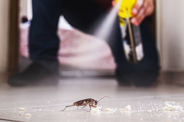 Best Commercial Pest Control Services  in Eulyptus Hills, CA