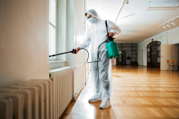 Best Emergency Pest Control  in Eulyptus Hills, CA